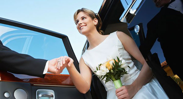 LTS LUXURY TRANSPORTATION SERVICES: Φωτογραφίες & Βίντεο
