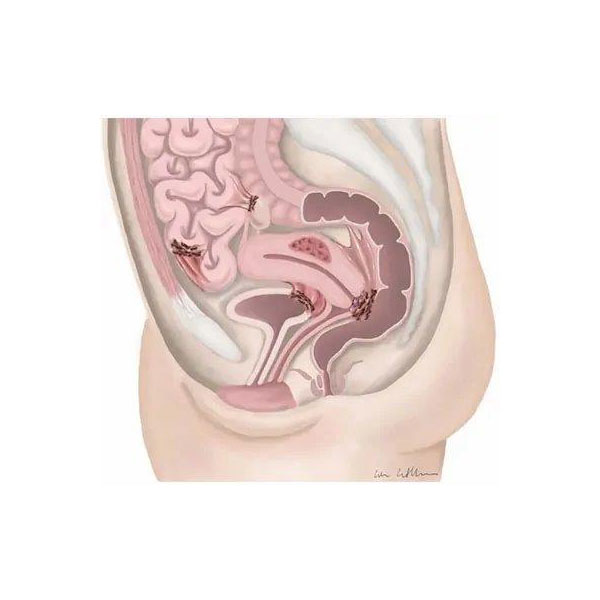 ΜΑΓΑΡΑΚΗΣ ΛΕΩΝΙΔΑΣ Dr MD: Φωτογραφίες & Βίντεο