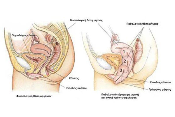 ΜΑΓΑΡΑΚΗΣ ΛΕΩΝΙΔΑΣ Dr MD: Φωτογραφίες & Βίντεο