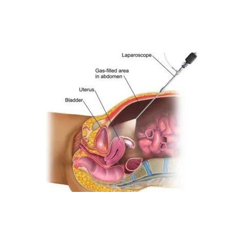 ΜΑΓΑΡΑΚΗΣ ΛΕΩΝΙΔΑΣ Dr MD: Φωτογραφίες & Βίντεο