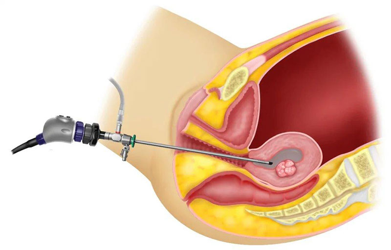 ΜΑΓΑΡΑΚΗΣ ΛΕΩΝΙΔΑΣ Dr MD: Φωτογραφίες & Βίντεο
