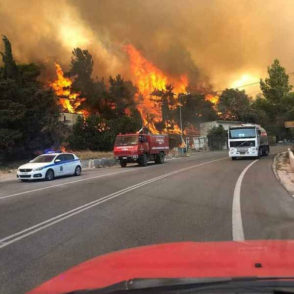 MAGGANAS EVAGGELOS: Φωτογραφίες & Βίντεο