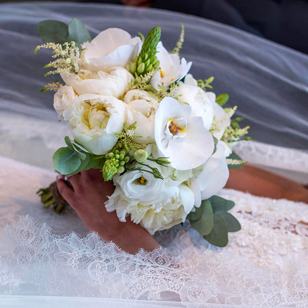 MAISON DES FLEURS: Φωτογραφίες & Βίντεο