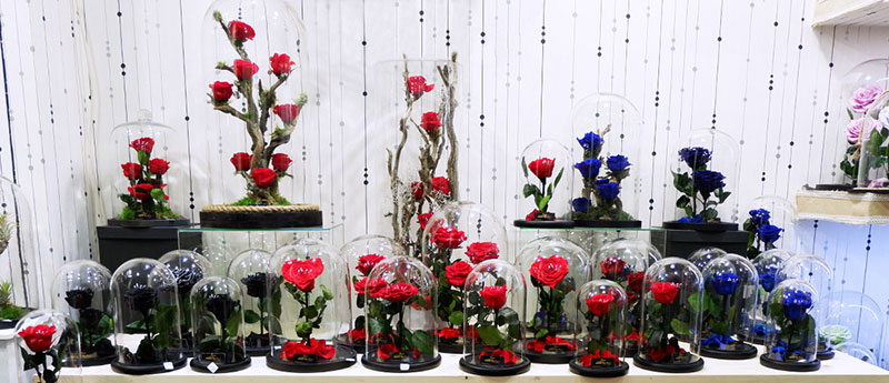 MAISON DES FLEURS: Φωτογραφίες & Βίντεο