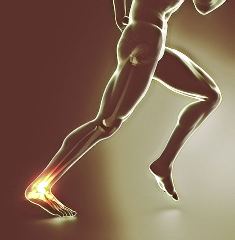 MAKESTAS MICHALIS - RHODES ORTHOPAEDICS: Φωτογραφίες & Βίντεο