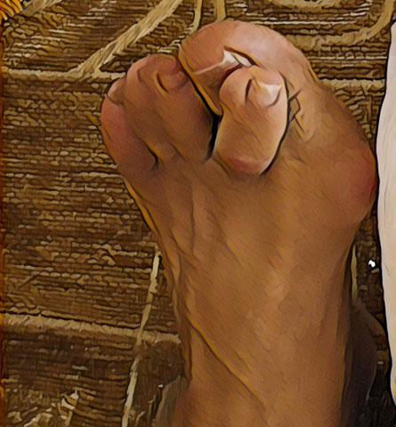 MAKESTAS MICHALIS - RHODES ORTHOPAEDICS: Φωτογραφίες & Βίντεο