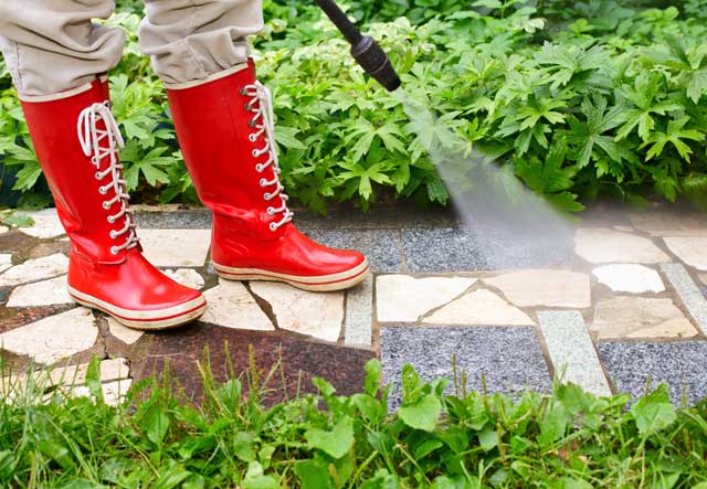 Cleaning front yards & gardens