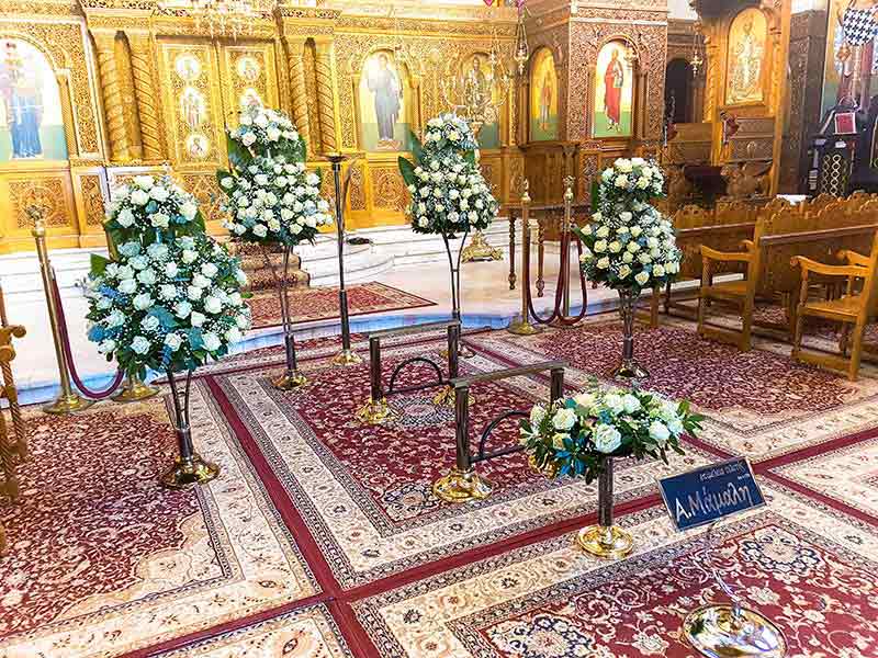 MAMALIS ANASTASIOS: Φωτογραφίες & Βίντεο