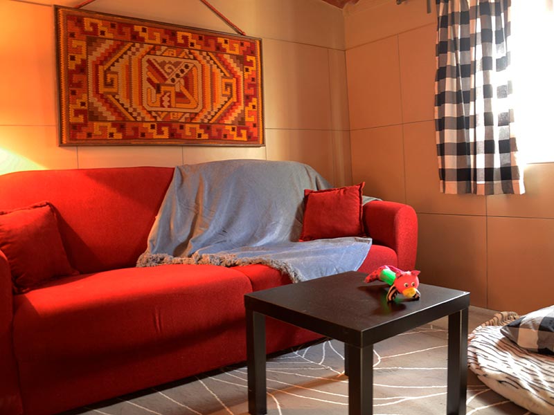 Junior suite for dogs