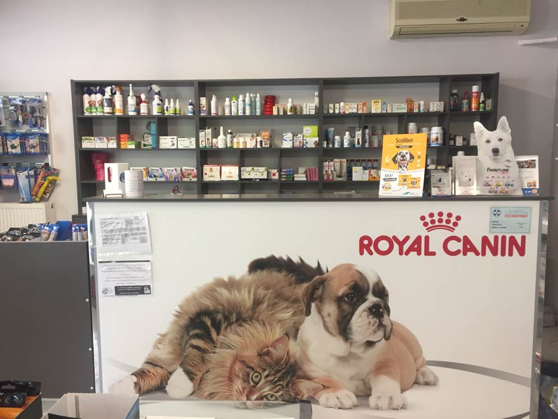 ΜΑΡΓΙΕΣ ΠΑΝΑΓΙΩΤΗΣ - ANIMAL CARE: Φωτογραφίες & Βίντεο
