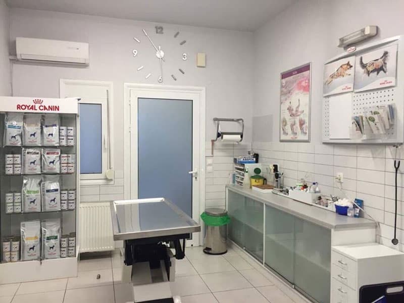 ΜΑΡΓΙΕΣ ΠΑΝΑΓΙΩΤΗΣ - ANIMAL CARE: Φωτογραφίες & Βίντεο
