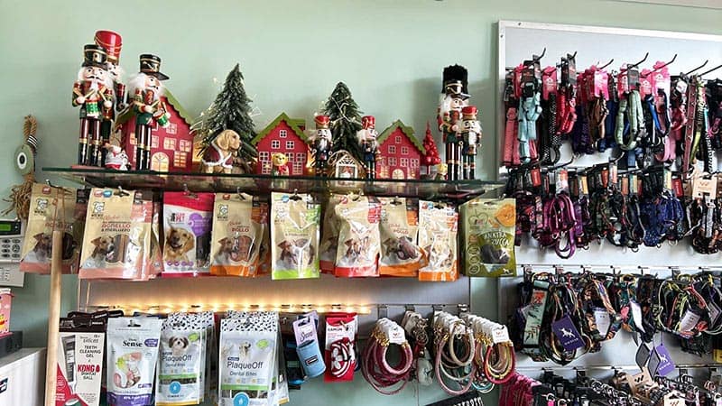 MARTHA'S GROOMING CREATIONS: Φωτογραφίες & Βίντεο
