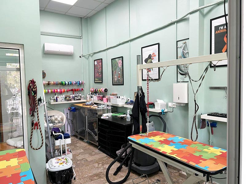 MARTHA'S GROOMING CREATIONS: Φωτογραφίες & Βίντεο
