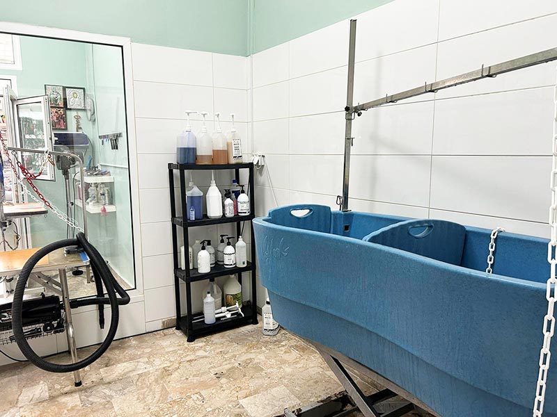 MARTHA'S GROOMING CREATIONS: Φωτογραφίες & Βίντεο