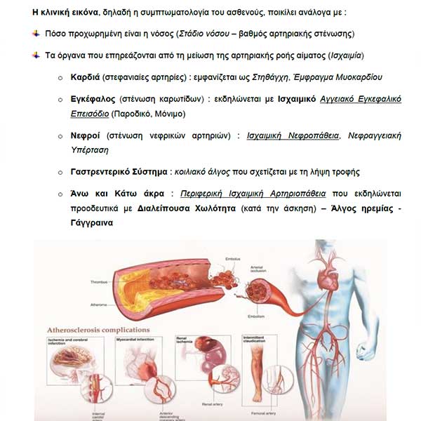 ΜΑΡΤΙΝΑΚΗΣ Γ. ΒΑΣΙΛΕΙΟΣ PhD, MSc, FEBVS: Φωτογραφίες & Βίντεο