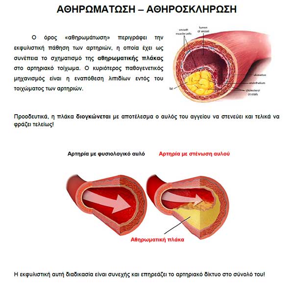 ΜΑΡΤΙΝΑΚΗΣ Γ. ΒΑΣΙΛΕΙΟΣ PhD, MSc, FEBVS: Φωτογραφίες & Βίντεο