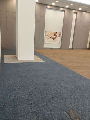 MASTER OF CLEAN - LACKA DRITAN: Φωτογραφίες & Βίντεο