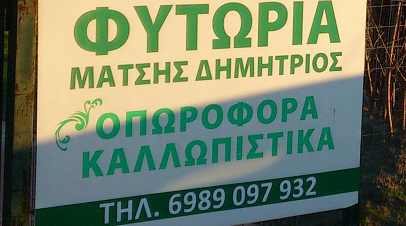 ΜΑΤΣΗΣ: Φωτογραφίες & Βίντεο