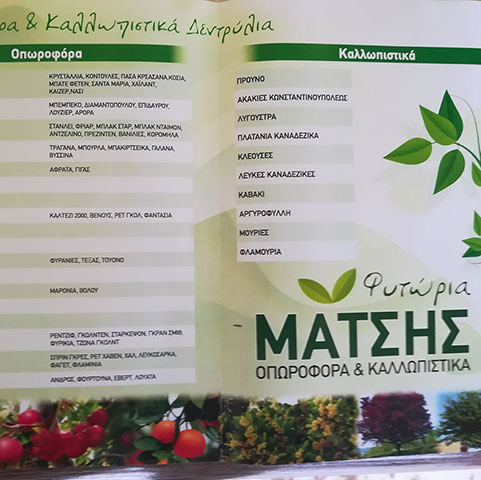 ΜΑΤΣΗΣ: Φωτογραφίες & Βίντεο