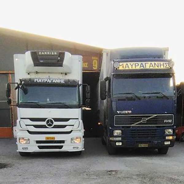 MAVRAGANIS DIAMETAFORIKI E.E.: Φωτογραφίες & Βίντεο
