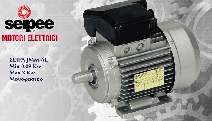 Single-phase motor