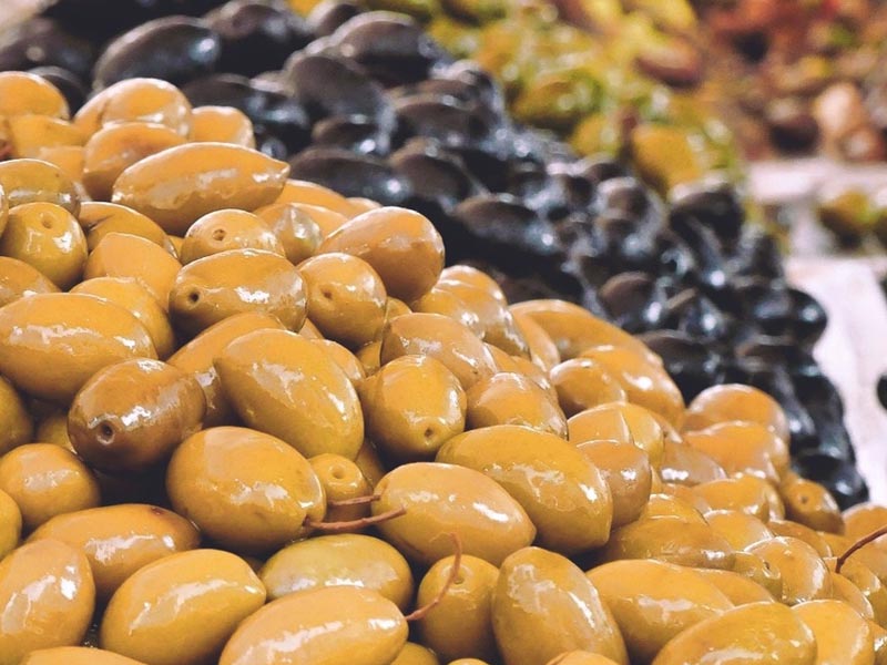 MEDITERRANEAN GOLD: Φωτογραφίες & Βίντεο