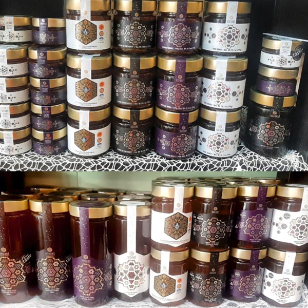 MEDITERRANEAN GOLD: Φωτογραφίες & Βίντεο