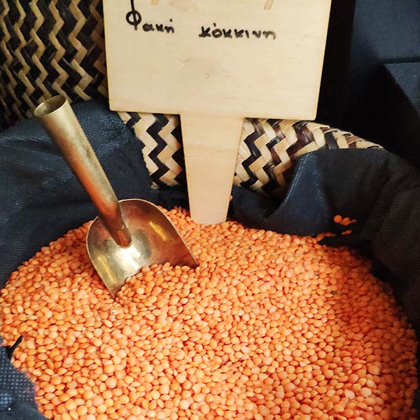 MEDITERRANEAN GOLD: Φωτογραφίες & Βίντεο