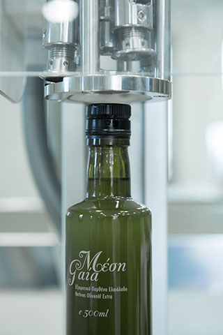MEDITERRANEAN OLIVE GROVES: Φωτογραφίες & Βίντεο