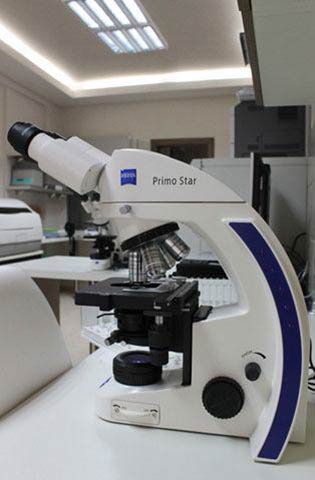 MEDLAB - ANAGNOSTOU VASILIKI Dr MD, MSc, PhD: Φωτογραφίες & Βίντεο