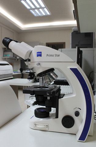 MEDLAB - ΑΝΑΓΝΩΣΤΟΥ ΒΑΣΙΛΙΚΗ Dr MD, MSc, PhD: Φωτογραφίες & Βίντεο