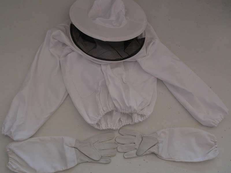 ΜΕΛΙΣΣΟΤΕΧΝΙΚΗ: Φωτογραφίες & Βίντεο