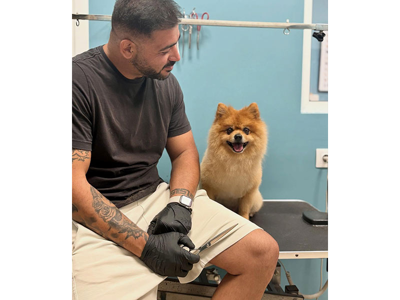 MENELAOS PET GROOMING: Φωτογραφίες & Βίντεο