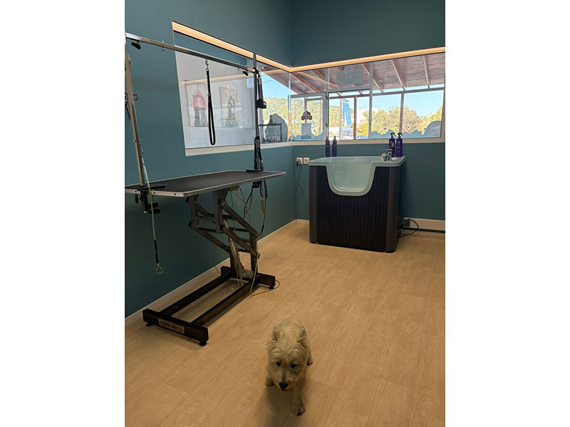 MENELAOS PET GROOMING: Φωτογραφίες & Βίντεο