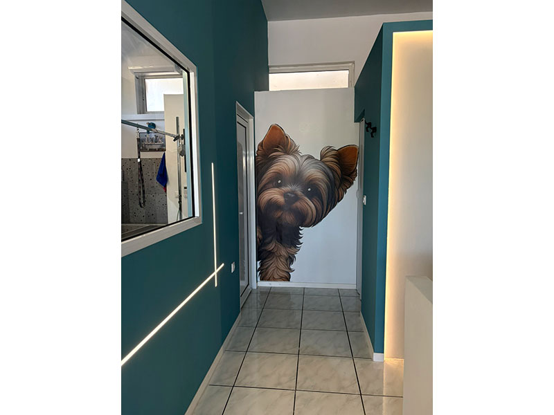 MENELAOS PET GROOMING: Φωτογραφίες & Βίντεο