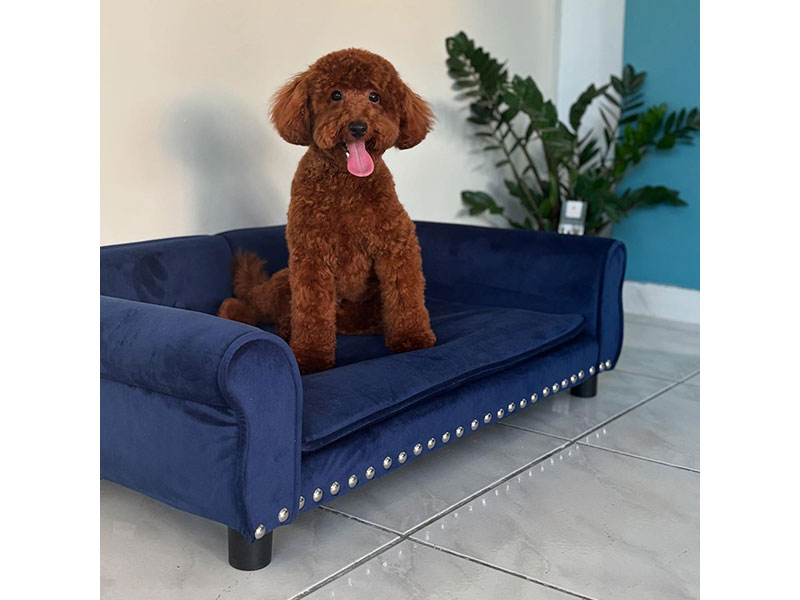 MENELAOS PET GROOMING: Φωτογραφίες & Βίντεο