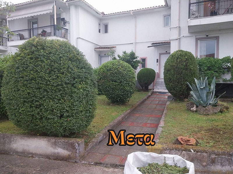 MERACLEAN: Φωτογραφίες & Βίντεο