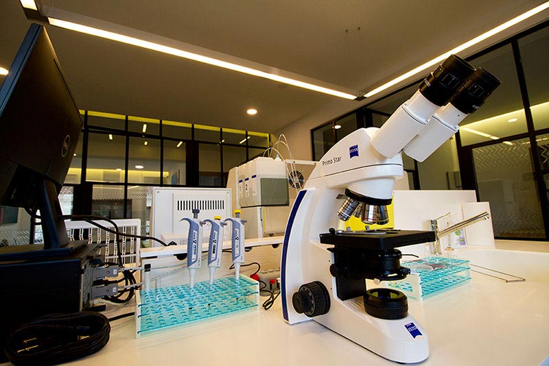 ΜΕΡΕΝΤΙΤΗ ΒΑΣΙΛΚΑ MD, PhD: Φωτογραφίες & Βίντεο