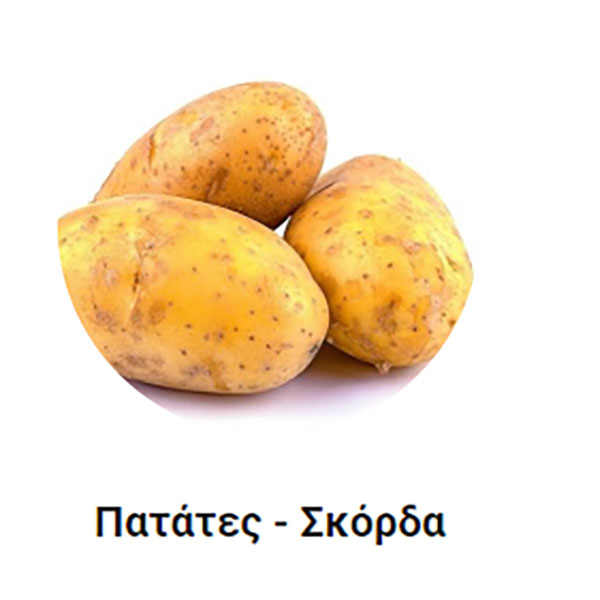 MESOGEIOS FOOD: Φωτογραφίες & Βίντεο