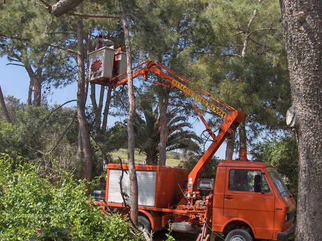 Καλαθοφόρο όχημα εργασίας αυτοκινούμενο