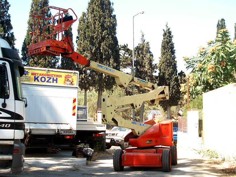 METAKOMISTIKI KOZI: Φωτογραφίες & Βίντεο