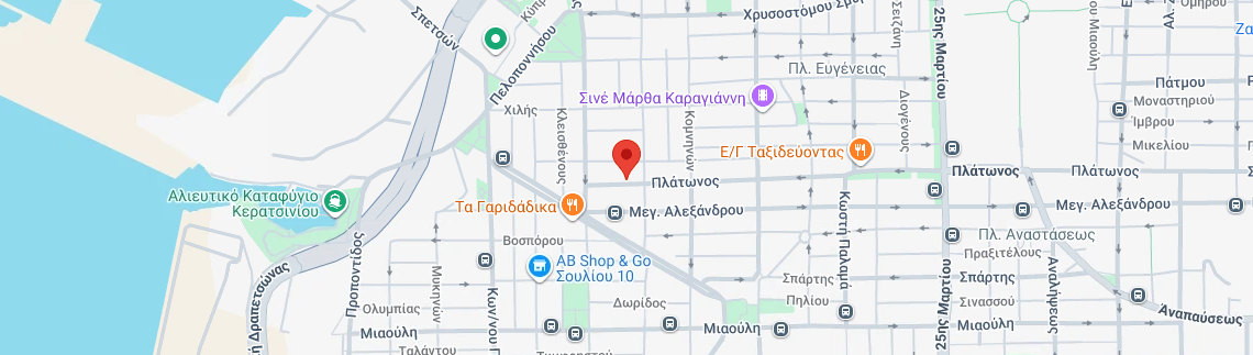 Λογότυπο METANI ELDISON
