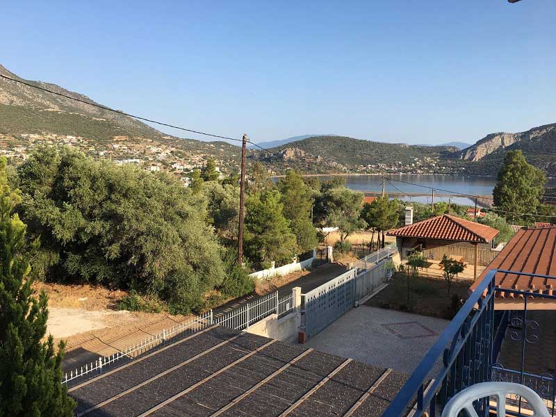 ΜΕΤΑΒΑΣΗ ΣΤΗΝ ΖΩΗ: Φωτογραφίες & Βίντεο