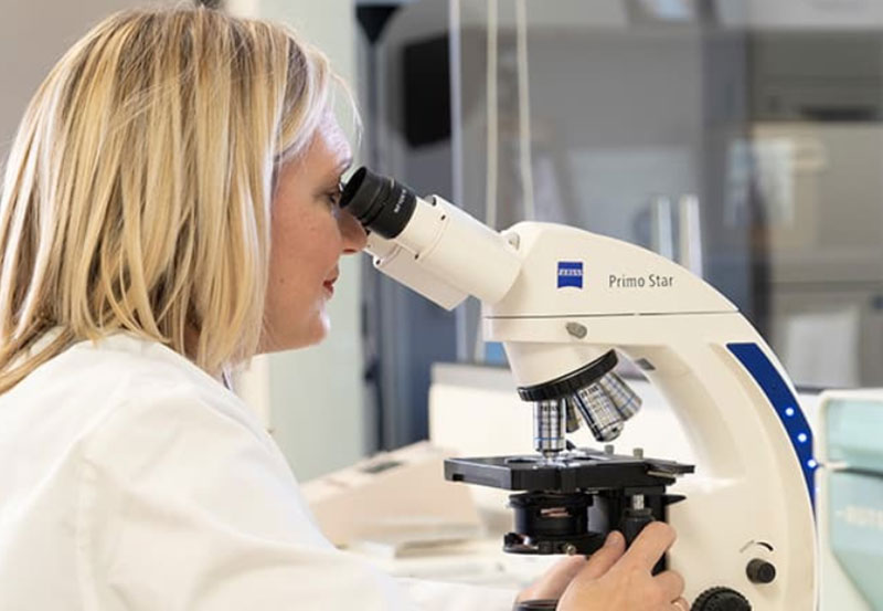MIKRO EXETASIS - TZANAVARI DEIRMENTZOGLOU ANNA: Φωτογραφίες & Βίντεο