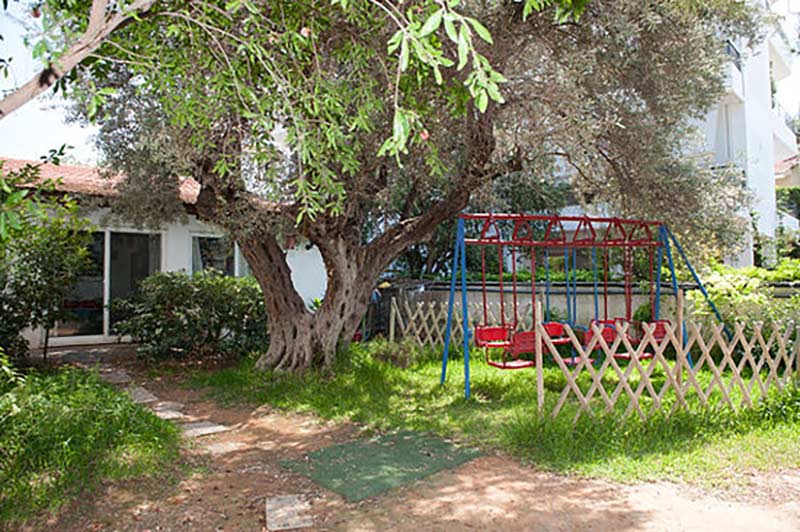 MIKRO SCHOLEIO: Φωτογραφίες & Βίντεο