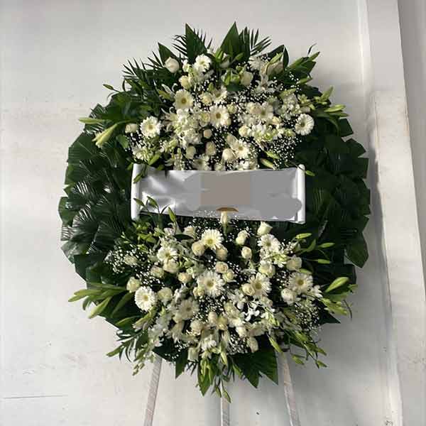 ΜΙΣΑΗΛΙΔΗΣ ΑΝΑΣΤΑΣΙΟΣ: Φωτογραφίες & Βίντεο