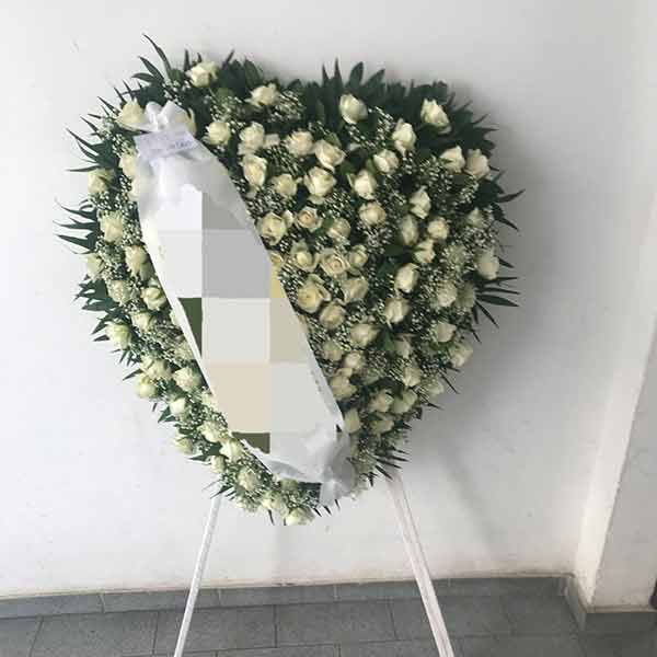ΜΙΣΑΗΛΙΔΗΣ ΑΝΑΣΤΑΣΙΟΣ: Φωτογραφίες & Βίντεο