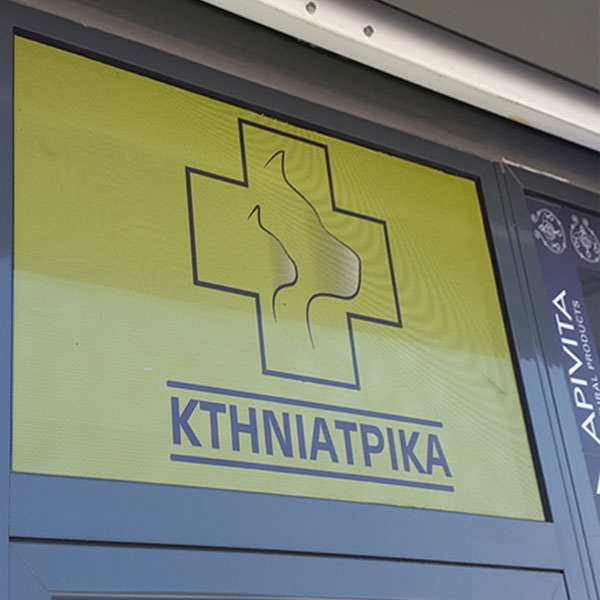 MITROFANIS I. DIMITRIOS: Φωτογραφίες & Βίντεο