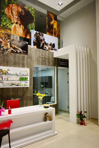 Reception Area