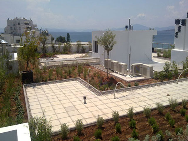 MONOTIKI KALTSAS: Φωτογραφίες & Βίντεο